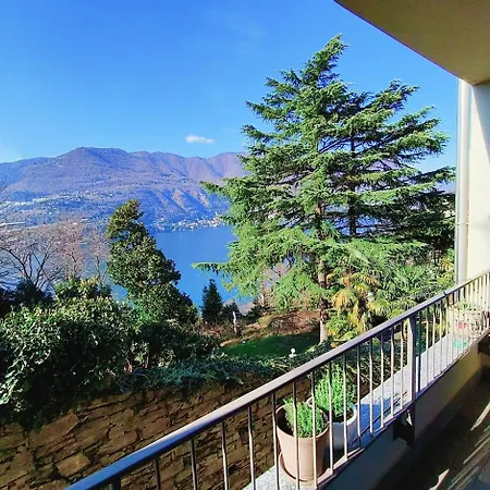 Kaspers 布里维奥