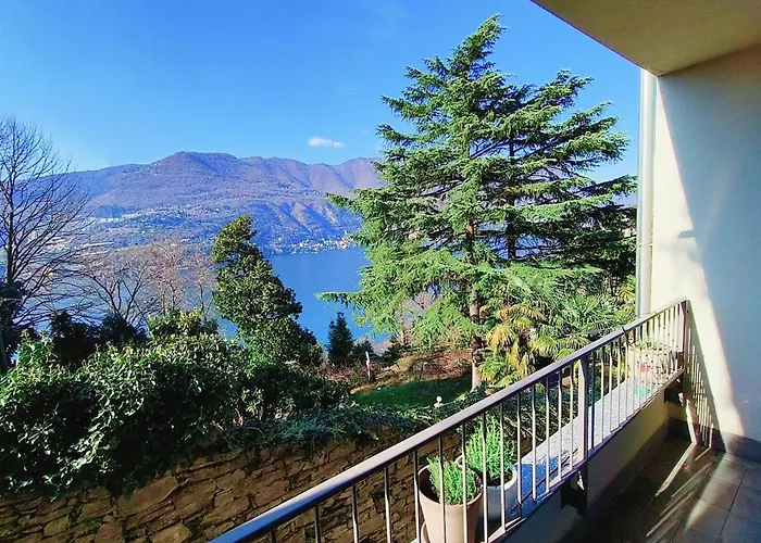 Kaspers 布里维奥