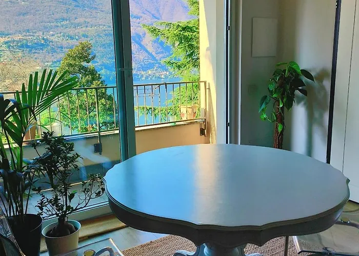 Kaspers * 布里维奥